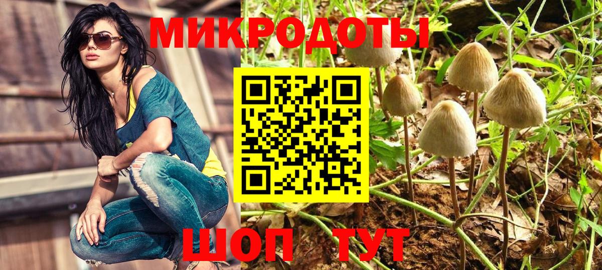 Кохма  Галлюциногенные грибы GOLDEN TEACHER  наркошоп  Вход с VPN 
